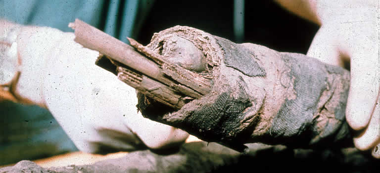 Mummy 1770's false legs